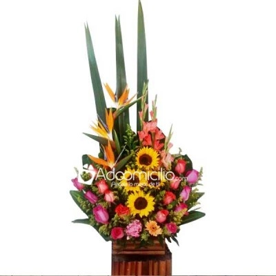 Arreglos Florales A Domicilio En Cali 