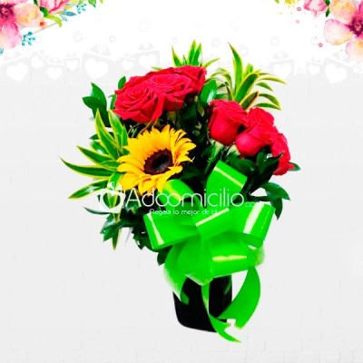 Flores Dia de la Mujer Para Regalar y Enamorar A Domicilio En Medellin