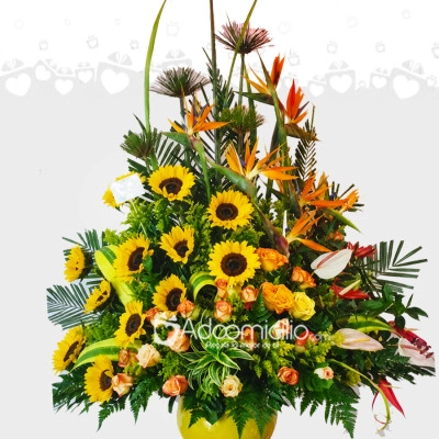 Arreglo Floral Con Anturios Y Girasoles A Domicilio En Cali 