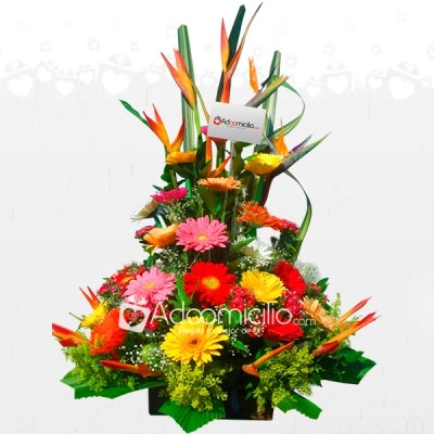 Arreglos Florales De Gerberas Para Sonreír A Domicilio En Pereira