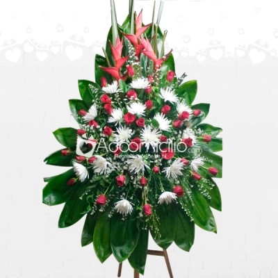 Energía Arreglo Floral A Domicilio En Pereira