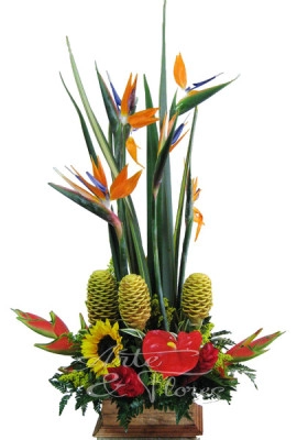 Arreglo Con Flores Exóticas A Domicilio En Cali 