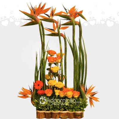 Arreglo Floral Con Rosas Y Aves Del Paraíso A Domicilio En Cali 