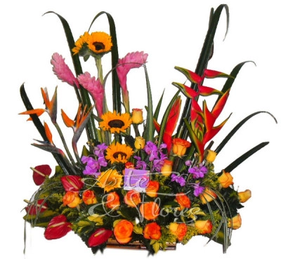 Arreglo Floral Tropical A Domicilio En Cali 