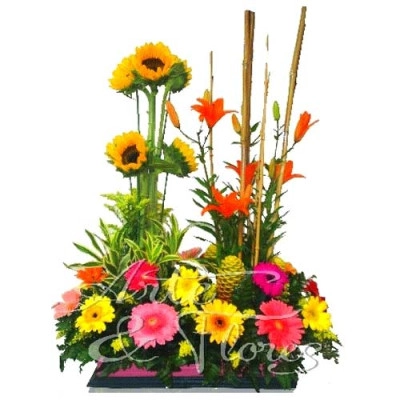Gerberas Y Lirios A Domicilio En Cali 