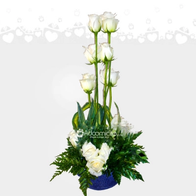Rosas Blancas A Domicilio En Cali 