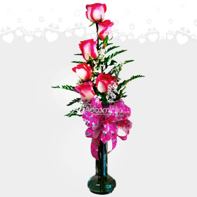 Solitario Con Rosas A Domicilio En Cali 