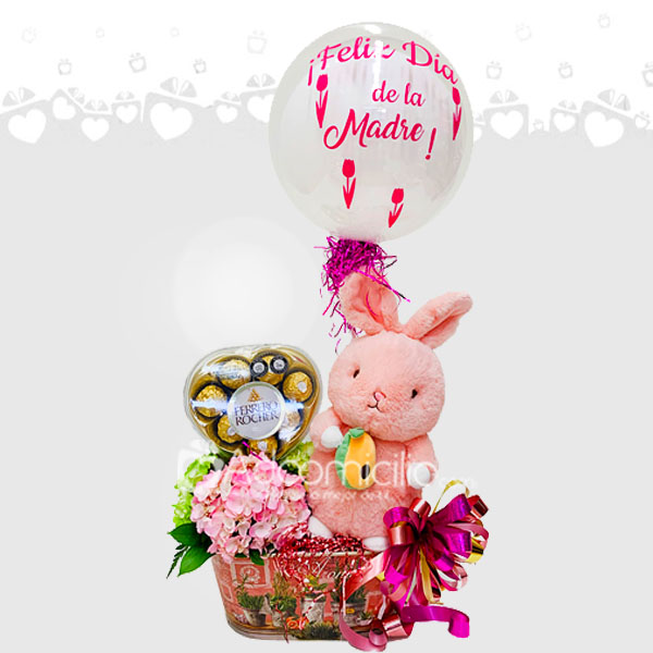 Regalo Especial Con Peluche Y Chocolates Para Mamá A Domicilio En Cali 