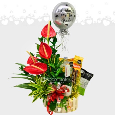 Arreglo Floral Con Cervezas Para Hombre A Domicilio En Cali Pedido Con Un Día De Anticipación 