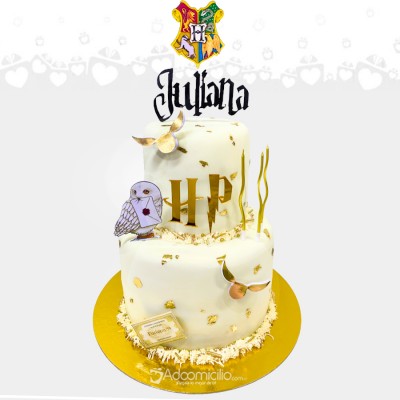 Torta Con Temática De Harry Potter A Domicilio En Cali Pedido Con 2 Días De Anticipación 