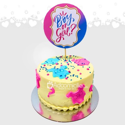 Torta De Relevación De Genero Para 5 Personas A Domicilio En Cali Pedido Con 2 Días De Anticipación