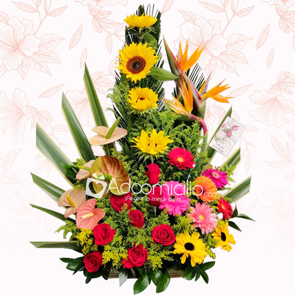 Feliz Dia Mujer Arreglos de Flores a Domicilio en Medellin