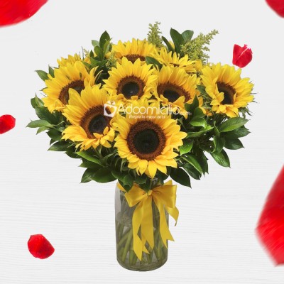 Florero Con Girasoles Para San Valentín A Domicilio En Medellín 