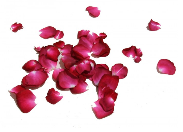Petalos de rosas a domicilio en Medellin bolsa pequeña