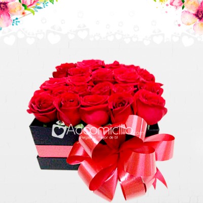 Rosas Para Enamorar Dia de la Mujer Caja de Rosas x 24 A Domicilio En Medellin