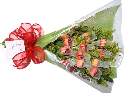 Bouquet 24 Gerberas Medellin