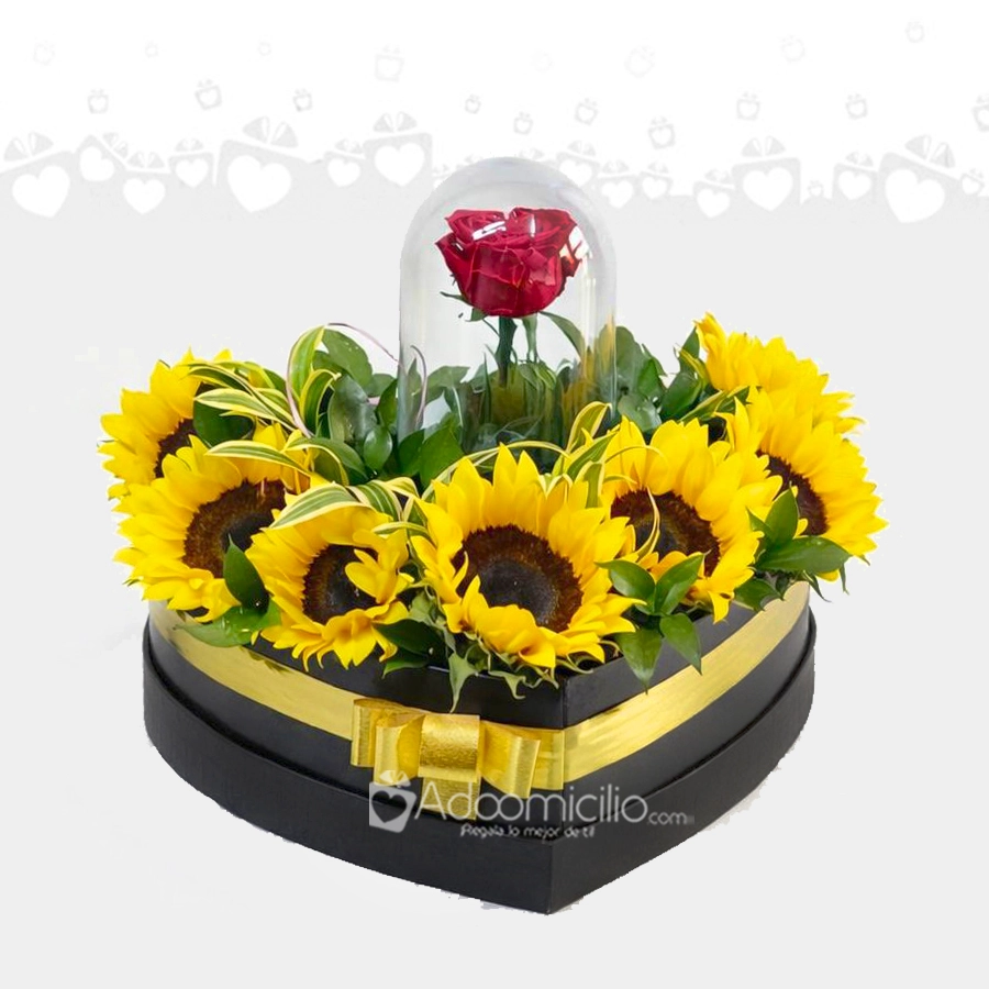 Girasoles Para El Día De La Mujer A Domicilio En Medellín 