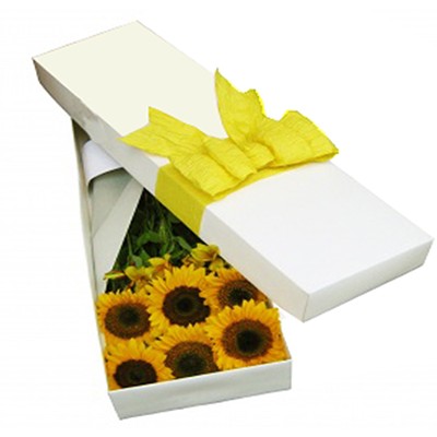 Caja girasoles