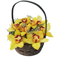 cesta de orquideas