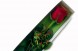 caja de rosas x 1