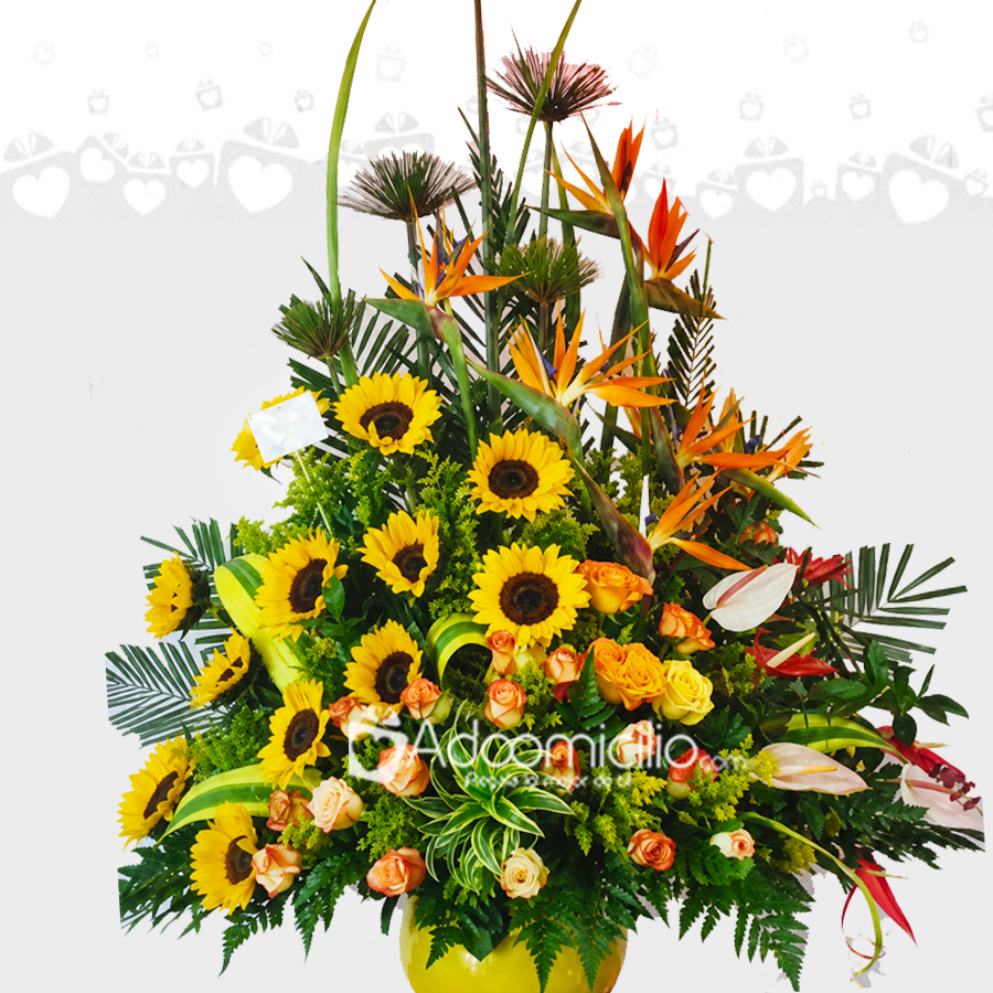 Arreglo Floral Con Anturios Y Girasoles A Domicilio En Cali 