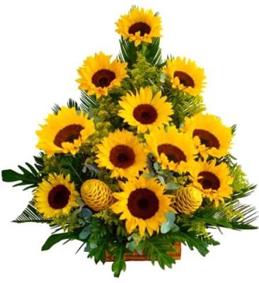 Girasoles