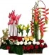 Armonia de Rosas