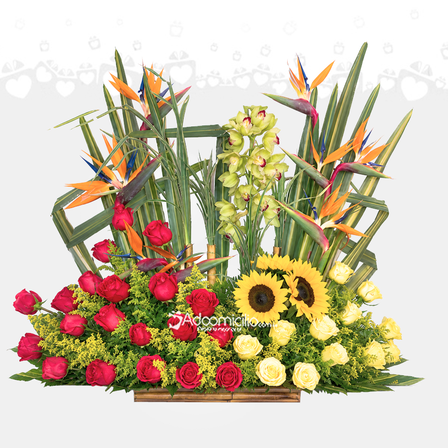 Arreglos Florales A Domicilio En Cali 