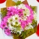 Bouquet De Margaritas Para Amor Y Amistad A Domicilio En Cali 