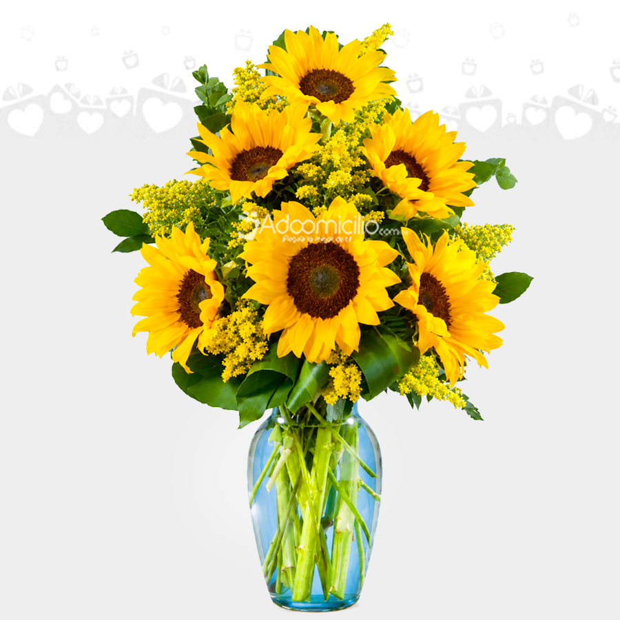 Florero Con Girasoles A Domicilio En Cali 