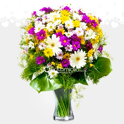 Florero Con Margaritas A Domicilio En Cali 