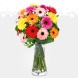 Gerberas En Jarrón A Domicilio En Cali 