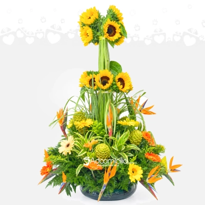 Girasoles Y Flores Exóticas A Domicilio En Cali 