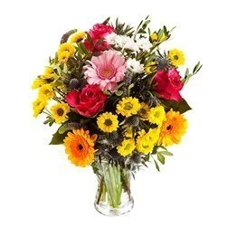 Mix Del Flores Coloridas En Jarrón A Domicilio En Cali 
