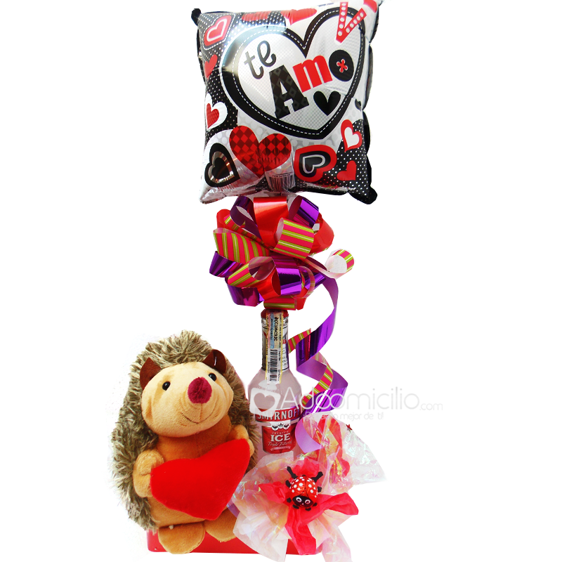 Anchetas de regalos Amor y Amistad Erizo Te amo
