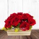Regalos Cali Red love Roses box