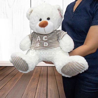 osos de peluche a domicilio