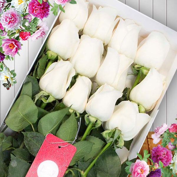  Flores  Bogota a Domicilio Caja de Rosas Blanco Pureza Por 12 Unidades