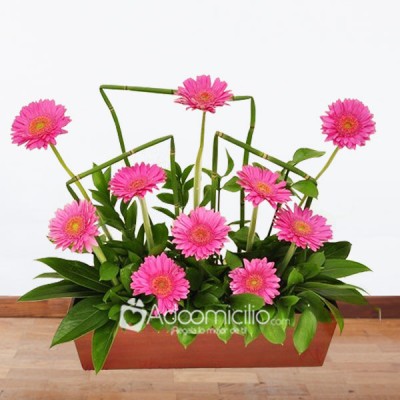 Flores  Bogota Arreglo Floral Gerbera Base Madera Country