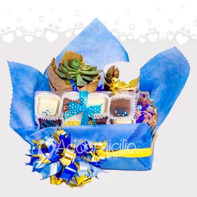 Regalo Para Hombre Con Chocolates Y Suculenta A Domicilio En Medellín Pedido Con 1 Día De Anticipación