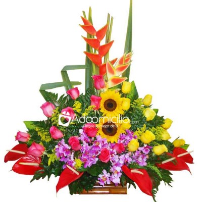 Alegre Arreglos florales Cali 