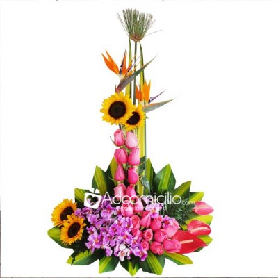 Bailarina Arreglos florales Cali 