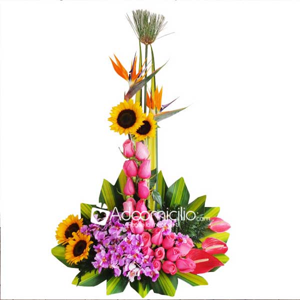 Bailarina Arreglos florales Cali 