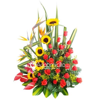 Encanto Arreglos florales Cali 