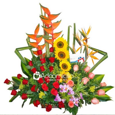 Ilusión Flores a domicilio en Cali 