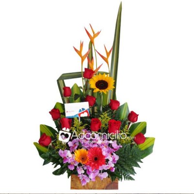 Para ti Flores a domicilio en Cali