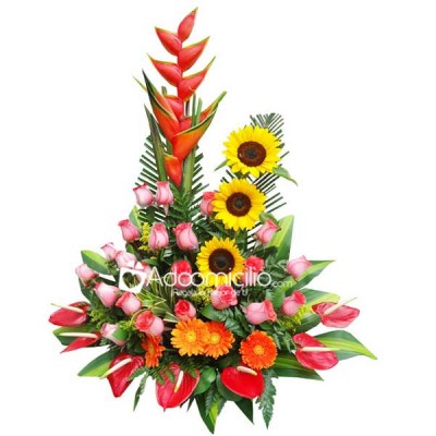 Tentación Flores a domicilio en Cali