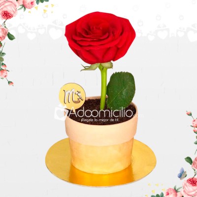 Mini Cake Roses Regalos Para El Dia De La Madre Pedido Con Un Dia De Anticipación A Domicilio En Cali