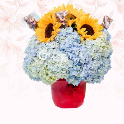 Arreglo Encanto Canasta Hortensias, Girasoles y Ositos de Chocolate Regalos Dia de la Mujer a Domicilio en Bucaramanga