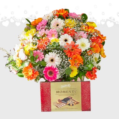 Regalos Para Navidad A Domicilio En Bucaramanga
